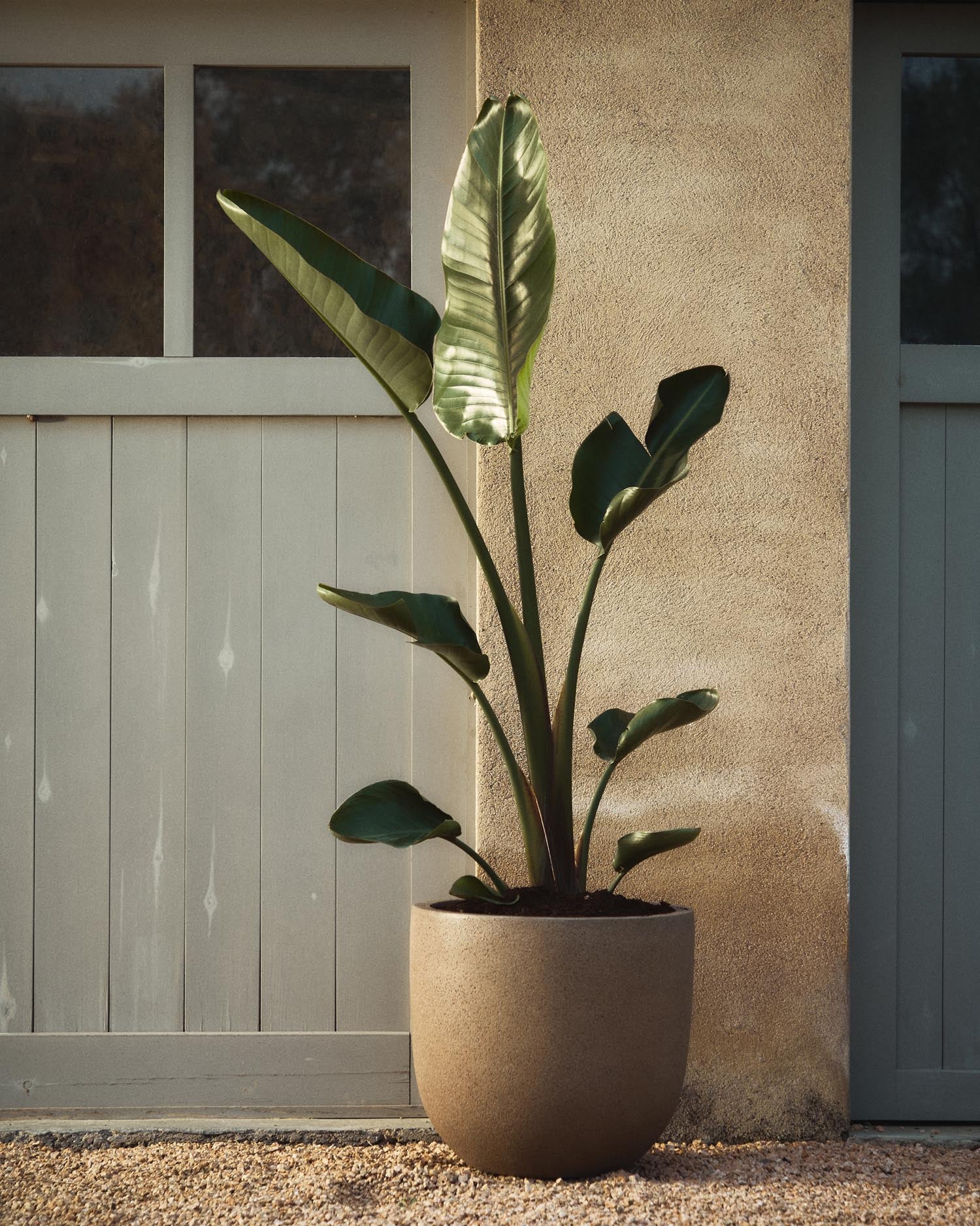 Set aus 2 eleganten Blumentöpfen Selvi in hellbrauner Steinoptik, Ø 37 cm, ideal für drinnen und draußen. Perfekt für Ihre Pflanzen!