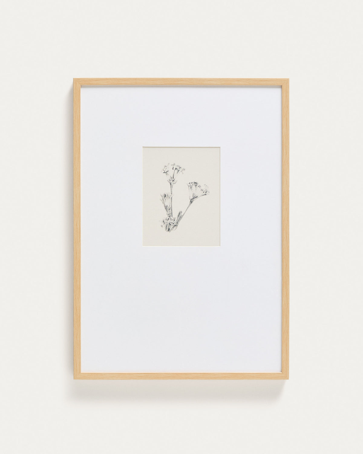 Bild Lirena, botanische Illustration, 50 x 70 cm in Beige, Weiss präsentiert im Onlineshop von KAQTU Design AG. Bild ist von Kave Home