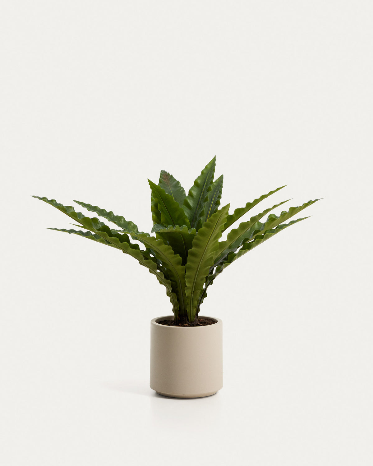 Künstlicher Nestfarn mit weissem Topf, 70 cm in Weiss präsentiert im Onlineshop von KAQTU Design AG. Kunstpflanze ist von Kave Home