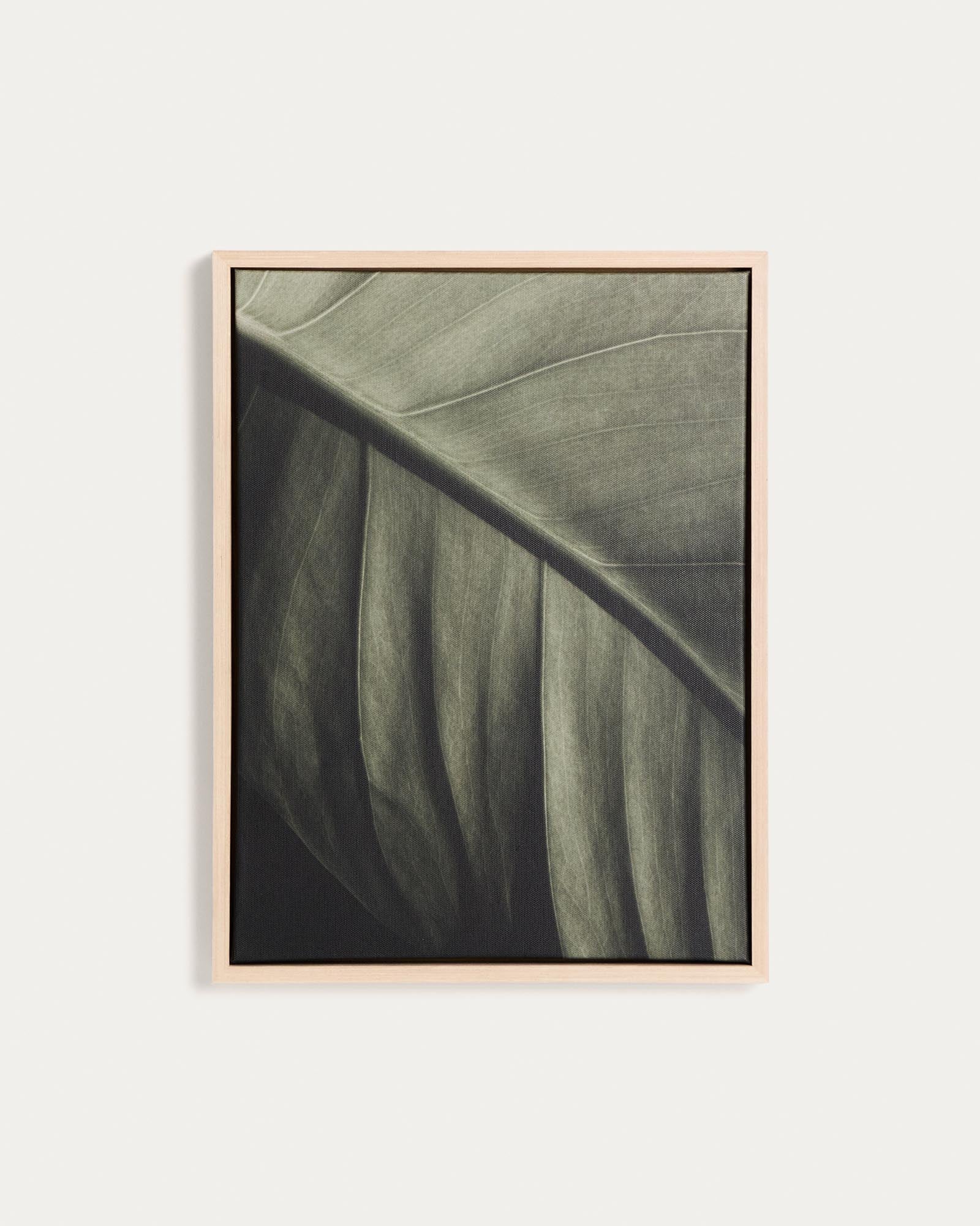 Bild Foliae – Fotografie eines Blatts, 32,5 x 42,5 cm in Grün präsentiert im Onlineshop von KAQTU Design AG. Bild ist von Kave Home