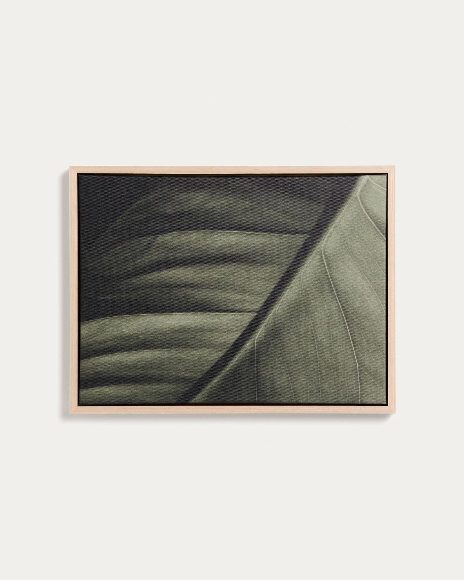 Elegante Fotografie eines Blattes in zarten Grüntönen, 32,5 x 42,5 cm, ideal für moderne Wohnräume und kreative Dekoration.