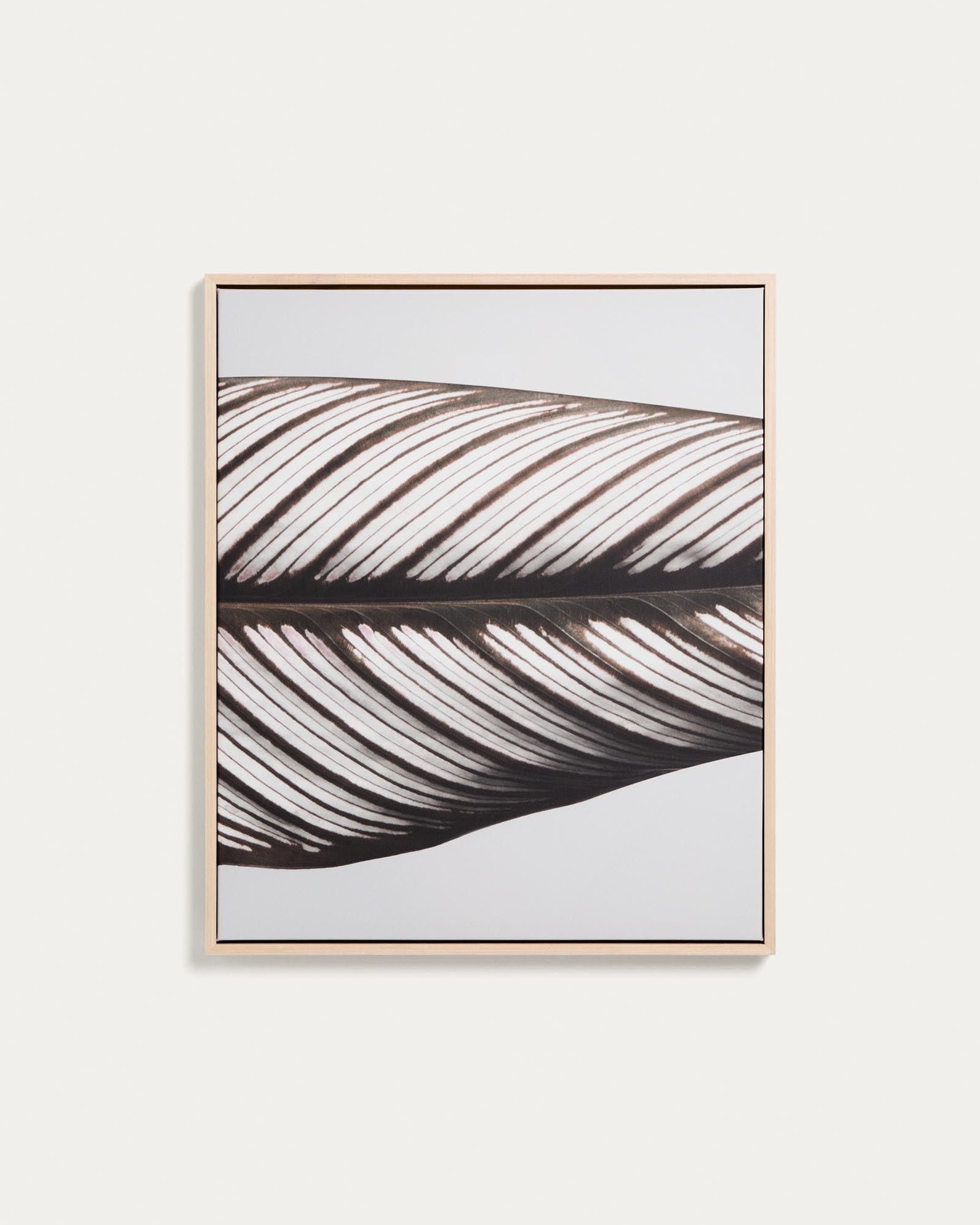 Bild Foliae – Fotografie eines Blatts, 52,5 x 62,5 cm in Weiss präsentiert im Onlineshop von KAQTU Design AG. Bild ist von Kave Home
