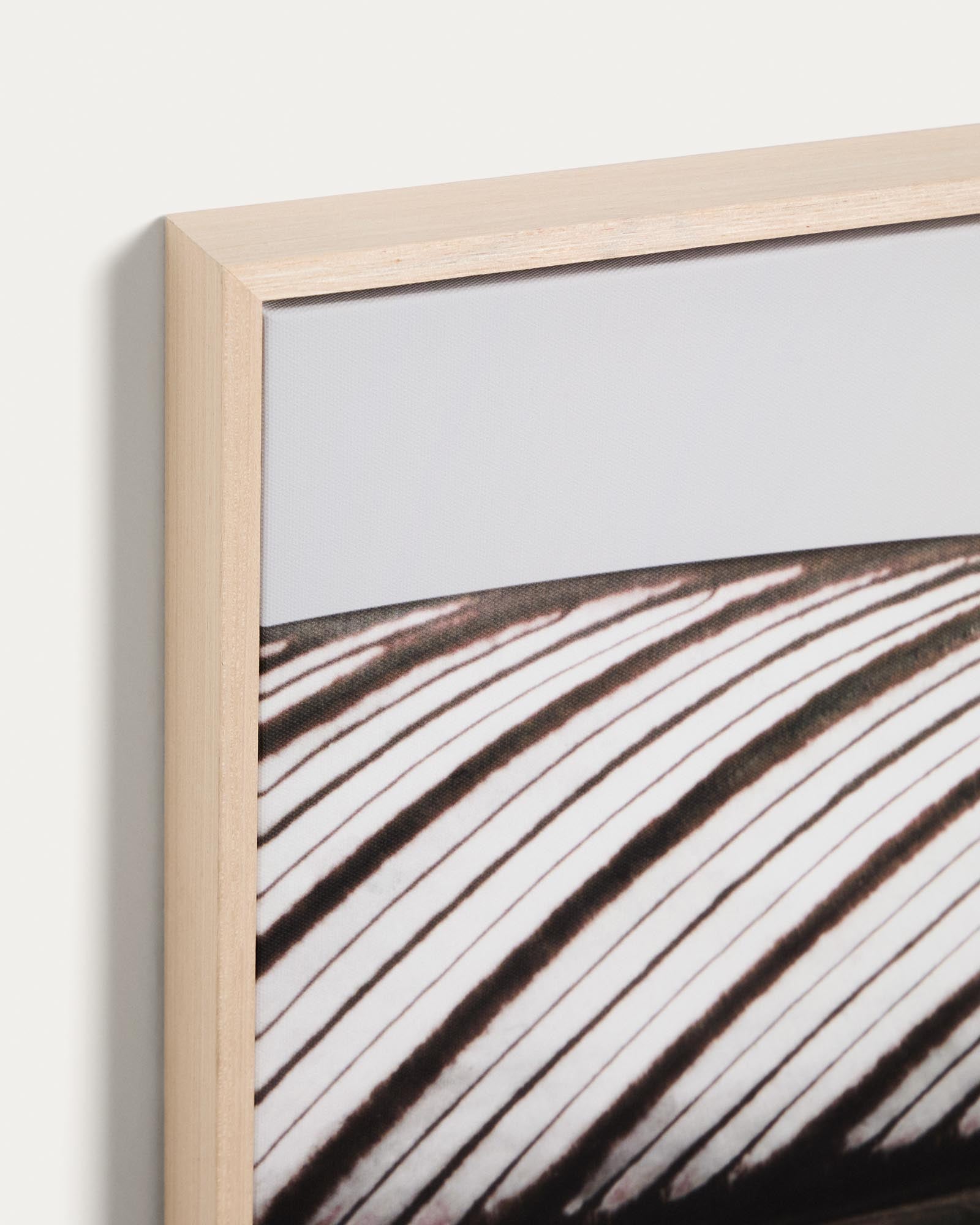 Elegante Fotografie eines Blattes in sanften Weißtönen, 52,5 x 62,5 cm, ideal für moderne Wohnräume, erhältlich bei Kave Home.