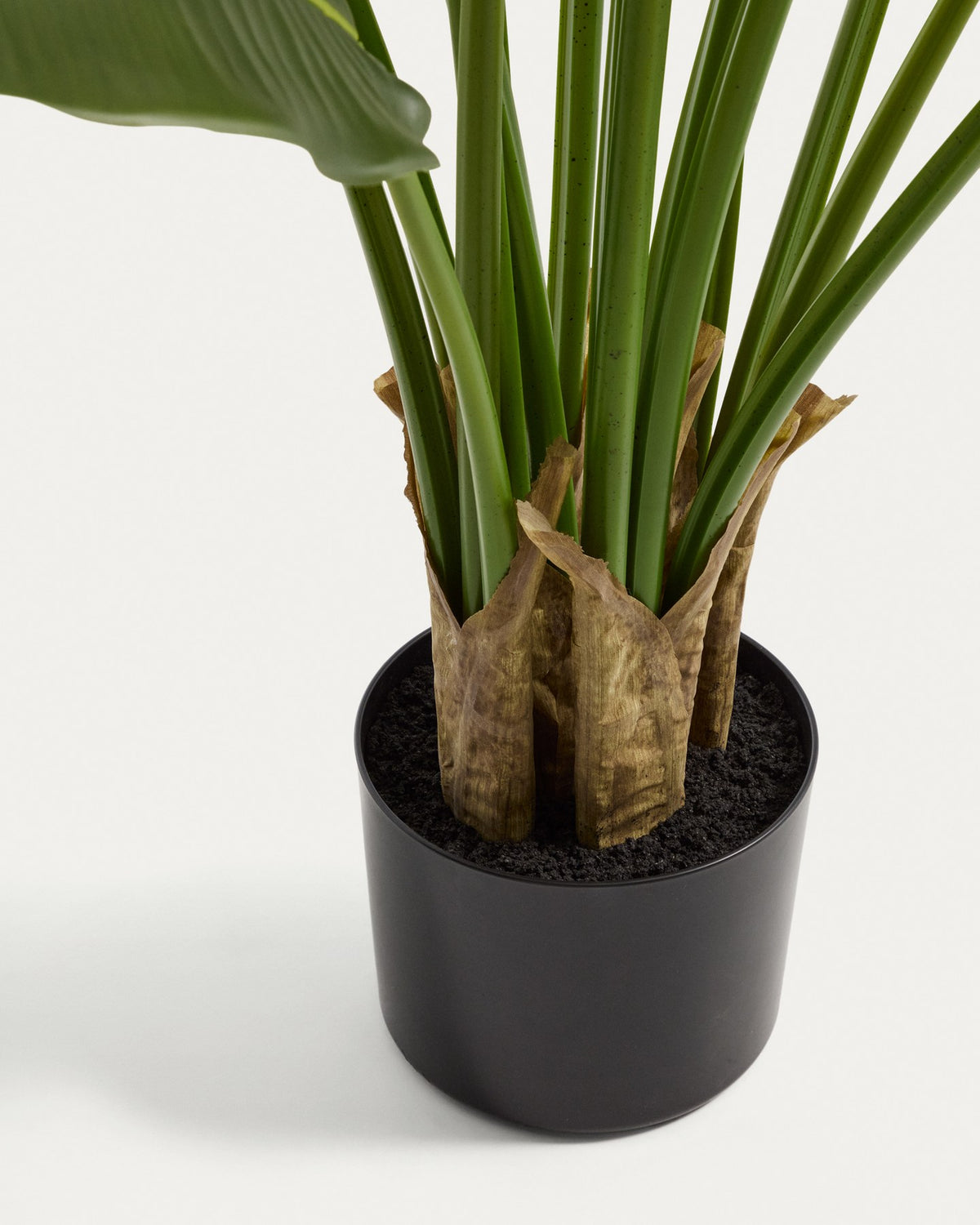 Künstliche Pflanze Bananero mit schwarzem Topf, grüne geschwungene Blätter aus Polyethylen und Polyurethan, Höhe 248 cm.