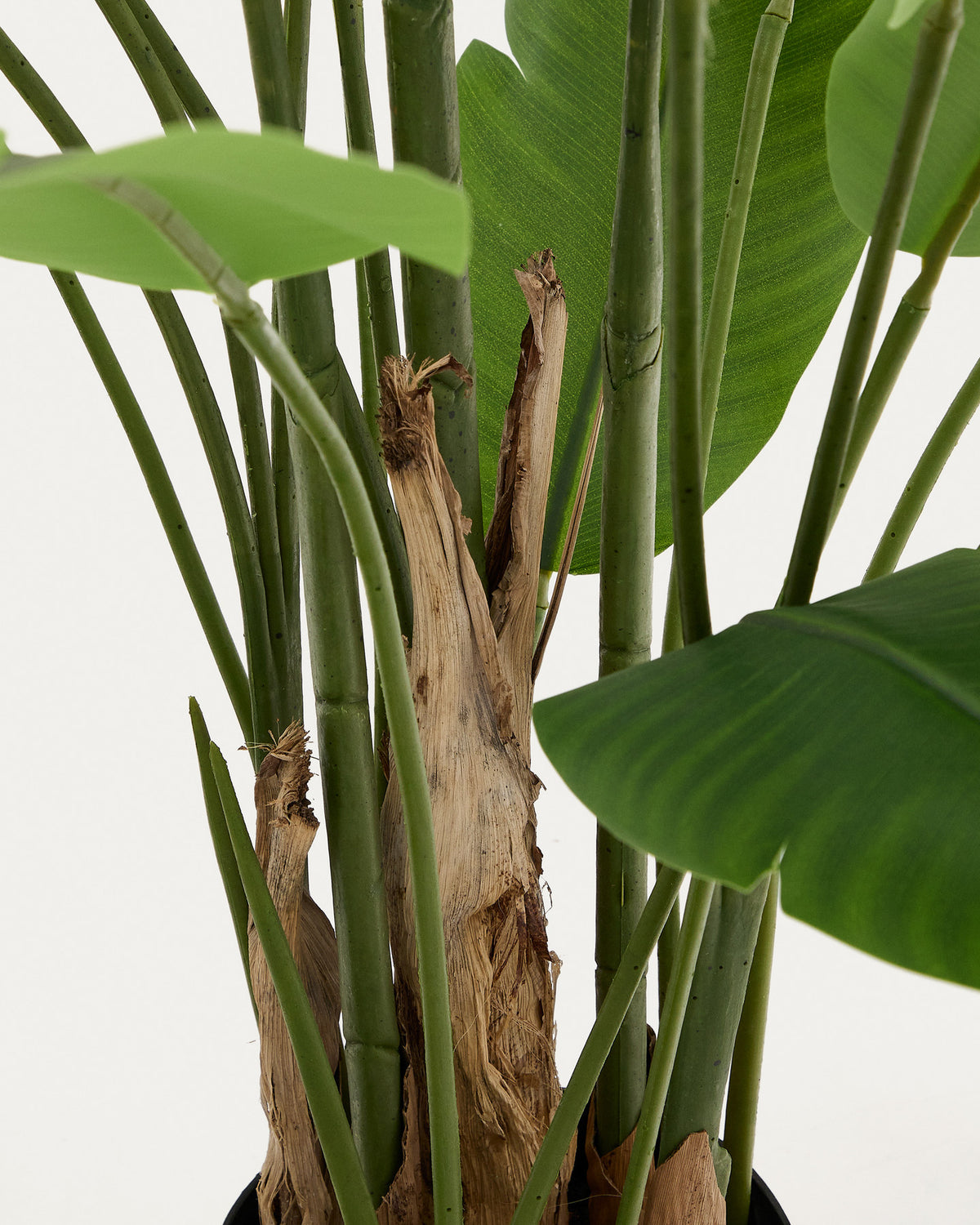 Kunstpflanze Banano mit schwarzem Topf 210 cm in Grün präsentiert im Onlineshop von KAQTU Design AG. Kunstpflanze ist von Kave Home