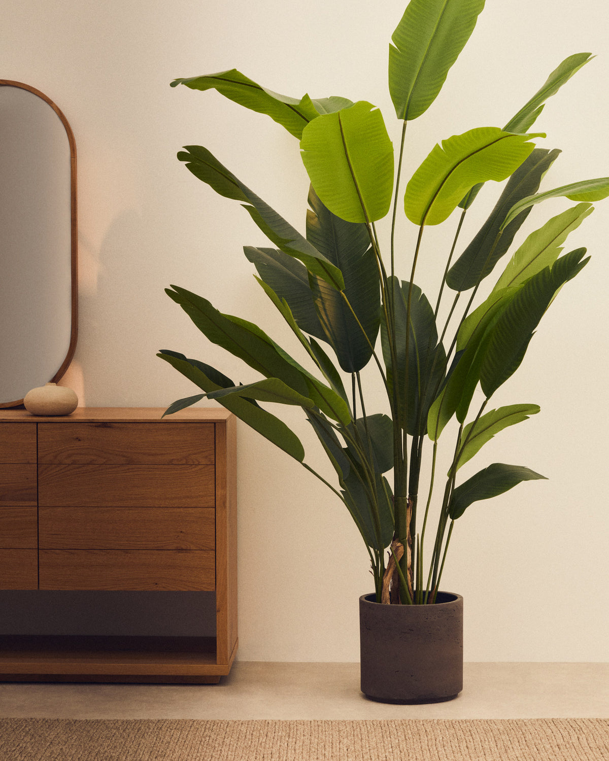 Kunstpflanze Banano mit schwarzem Topf 210 cm in Grün präsentiert im Onlineshop von KAQTU Design AG. Kunstpflanze ist von Kave Home