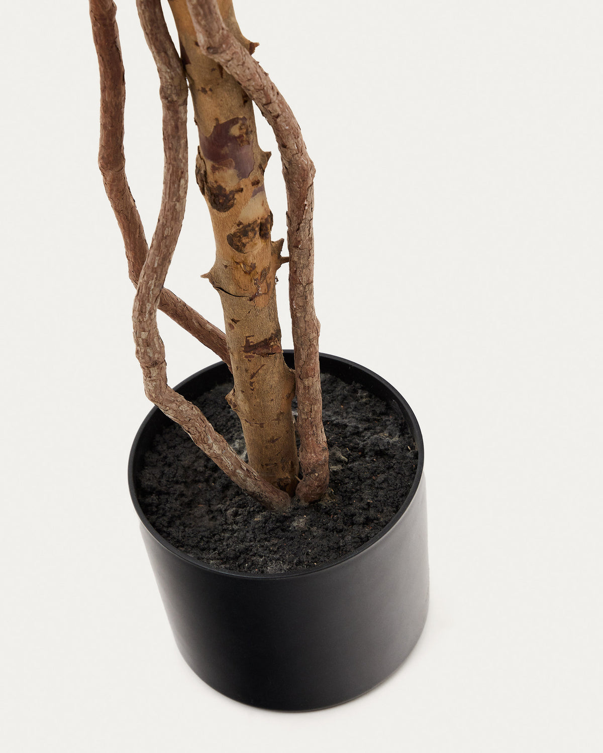 Kunstbaum Ficus mit schwarzem Topf 180 cm in Grün, Braun präsentiert im Onlineshop von KAQTU Design AG. Kunstpflanze ist von Kave Home