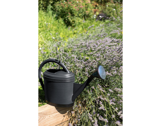 EDA Giesskanne 12 l grün in Grün, Anthrazit, Grau präsentiert im Onlineshop von KAQTU Design AG. Giesskanne ist von EDA