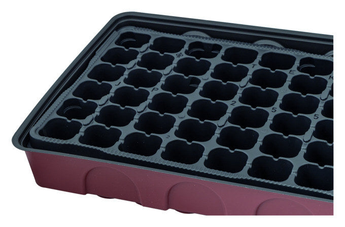 SIENA GARDEN Anzuchthaus XL 55x28x7 cm in Transparent, Bordeaux, Rot präsentiert im Onlineshop von KAQTU Design AG. Anzuchttopf ist von SIENA GARDEN