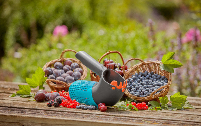 GARDENA Beerensammler Combysystem in präsentiert im Onlineshop von KAQTU Design AG. Gartenwerkzeug ist von GARDENA