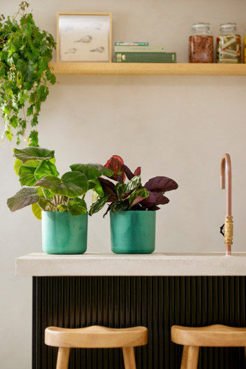 ELHO Topf Ocean rund ø 16 cm pazifikgrün in Pazifikgrün, Grün präsentiert im Onlineshop von KAQTU Design AG. Pflanzentopf Outdoor ist von ELHO