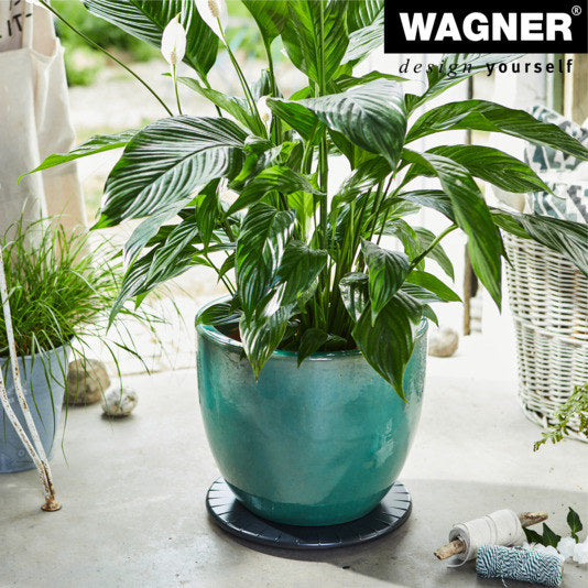 WAGNER Rolluntersetzer ø 300 mm Ultraflat schwarz in Schwarz präsentiert im Onlineshop von KAQTU Design AG. Pflanzenroller ist von WAGNER