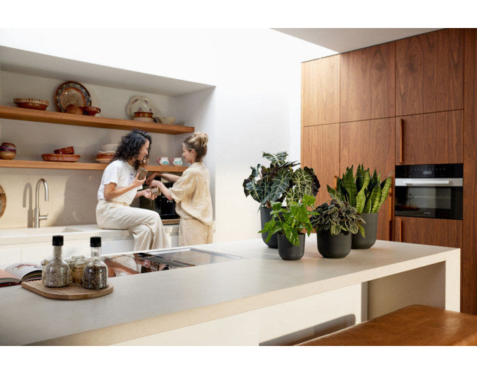 ELHO Pflanzengefäss Jazz rund ø 14 cm living schwarz in Living schwarz, Schwarz, 433 präsentiert im Onlineshop von KAQTU Design AG. Übertopf ist von ELHO