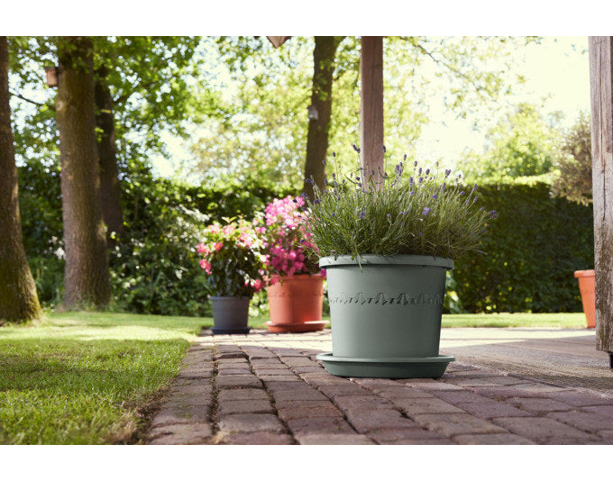 ELHO Topf Algarve cilindro ø 30 cm thymian grün in Thymian grün, Grün präsentiert im Onlineshop von KAQTU Design AG. Pflanzentopf Outdoor ist von ELHO