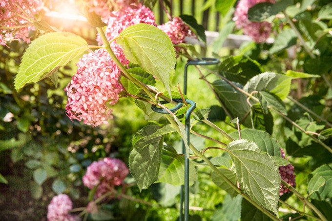 WINDHAGER Blumen-/Pflanzenstützen grün 60 cm in Grün präsentiert im Onlineshop von KAQTU Design AG. Gartenutensilien ist von WINDHAGER
