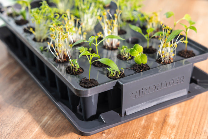 WINDHAGER Wurzeltrainer System 38x24x16.5 cm in präsentiert im Onlineshop von KAQTU Design AG. Pflanzentopf Outdoor ist von WINDHAGER