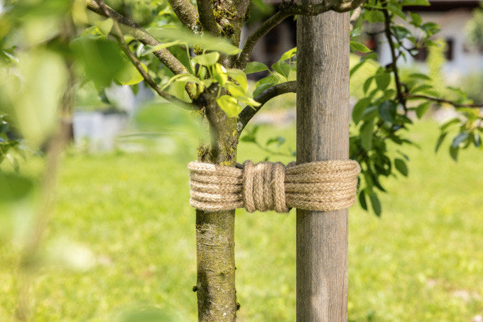 WINDHAGER Jutestrick Baum-Anbinder GreenLine ÖKO natur 5 m in Natur, Braun präsentiert im Onlineshop von KAQTU Design AG. Pflanzenstäbe und Schnüre ist von WINDHAGER