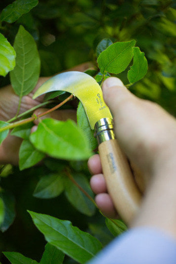 OPINEL Messer Nr. 10 Gartenhippe Buchenholzgriff in Box 10 cm in Silber, Natur, Braun präsentiert im Onlineshop von KAQTU Design AG. Küchenmesser ist von OPINEL