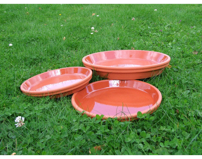 SPANG Untersetzer Ton ø 19.9x4.1 cm transparent glasiert terracotta in Terracotta, Braun präsentiert im Onlineshop von KAQTU Design AG. Blumentopf Untersetzer ist von SPANG