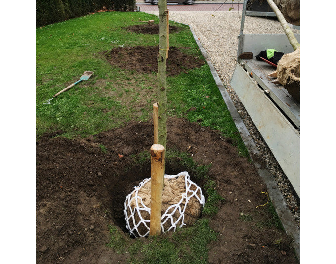 AGRYL Bewässerungsnetz Terrasponge 1.5 x 0.8 m (1.2 m2) in präsentiert im Onlineshop von KAQTU Design AG. Bewässerung ist von AGRYL