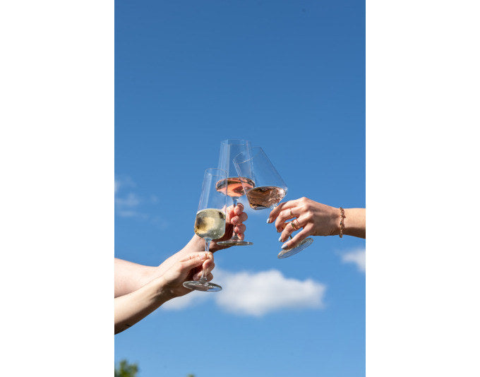 SCHOTT ZWIESEL Weissweinglas MioVino 2 4 Stück in Transparent präsentiert im Onlineshop von KAQTU Design AG. Weissweingläser ist von SCHOTT ZWIESEL