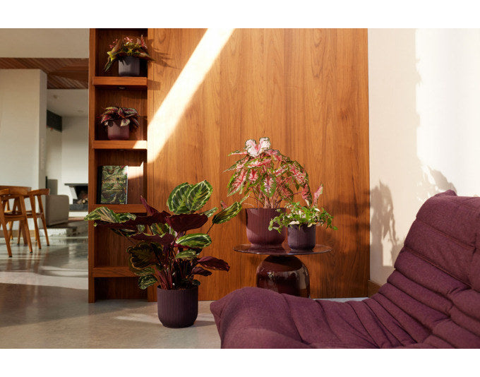 ELHO Pflanzengefäss The Winery Collection ø 22 cm dunkelviolett in Dunkelviolett, Violett präsentiert im Onlineshop von KAQTU Design AG. Pflanzentopf Outdoor ist von ELHO
