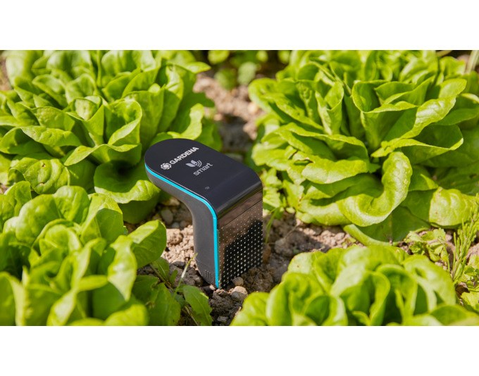 Schwarzer GARDENA Bodenfeuchtesensor Smart Sensor mit flachem Kopfteil und langem Fühler, freigestellt auf hellem Hintergrund fotografiert.