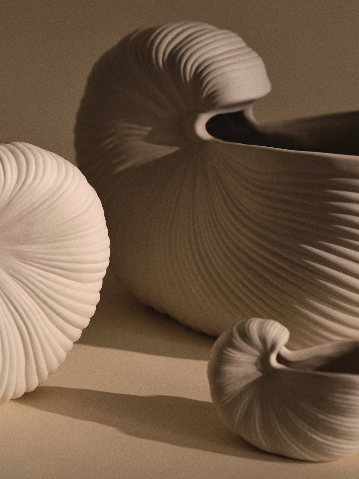 Blumentopf Shell in Cremeweiss präsentiert im Onlineshop von KAQTU Design AG. Blumentopf ist von Ferm Living