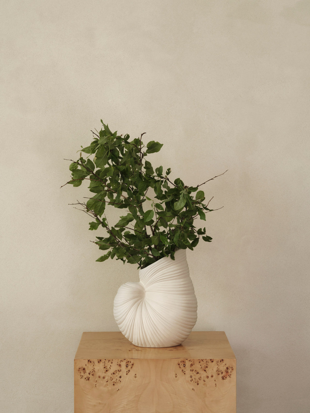Shell Vase Off in white präsentiert im Onlineshop von KAQTU Design AG. Vase ist von Ferm Living