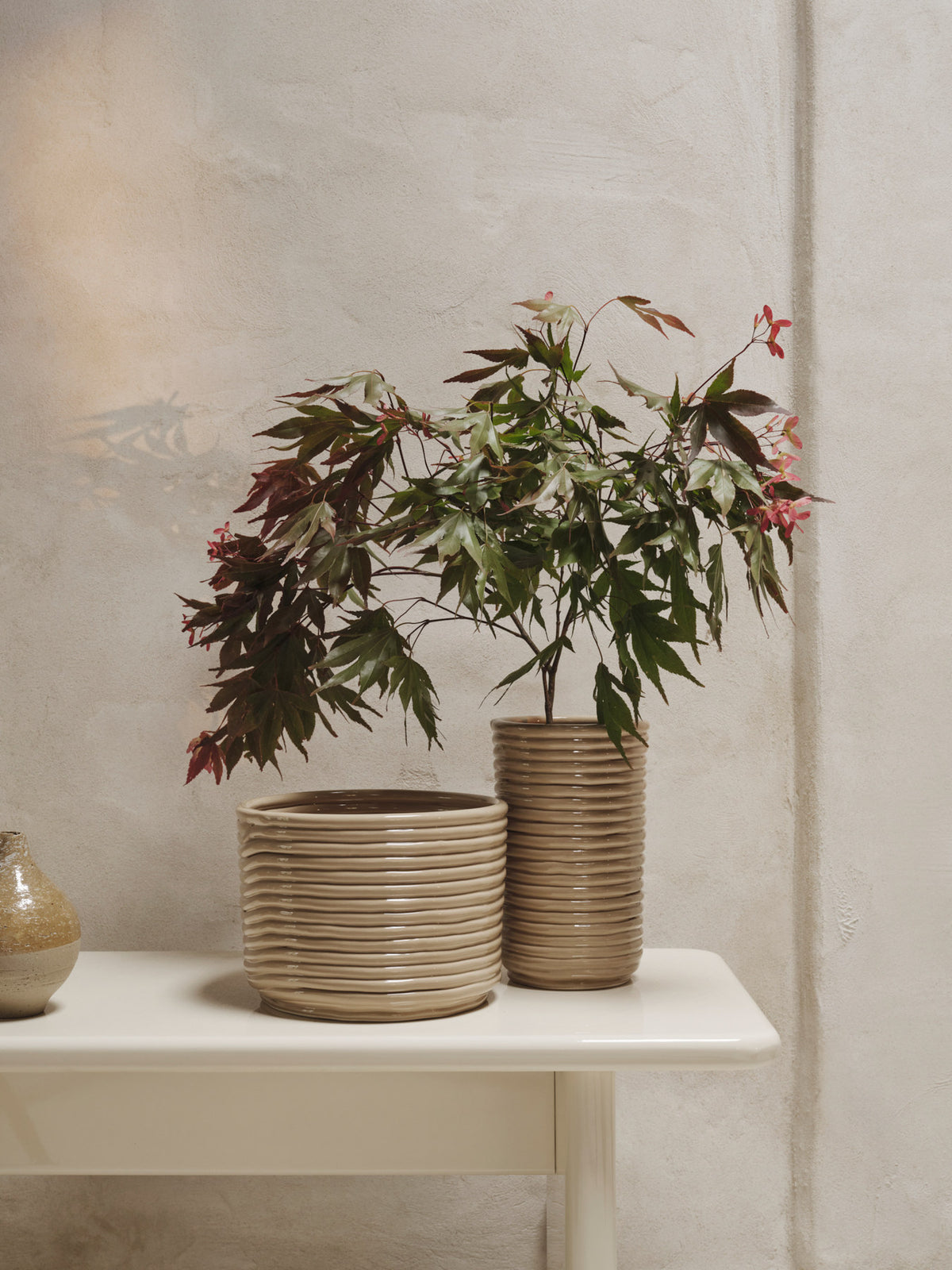 Corduroy Pot in Cashmere präsentiert im Onlineshop von KAQTU Design AG. Pflanzentopf ist von Ferm Living