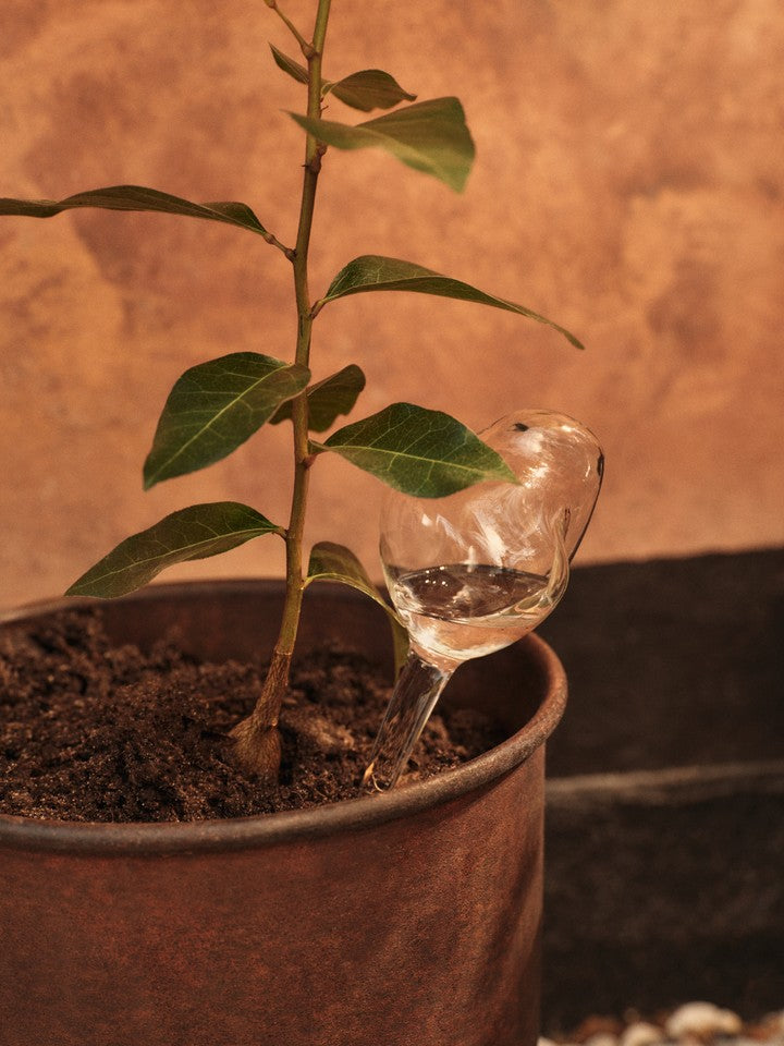Zwei elegante Mercury Water Globes in klarer Ausführung, ideal für die dekorative Bewässerung von Pflanzen, von Ferm Living.