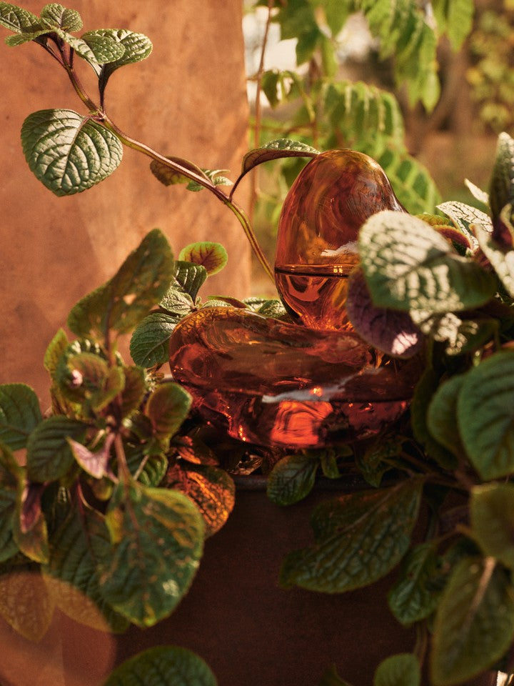Zwei kleine Mercury Water Globes in Amber, ideal für die dekorative Bewässerung von Pflanzen, stilvolles Pflanzentopfzubehör von Ferm Living.