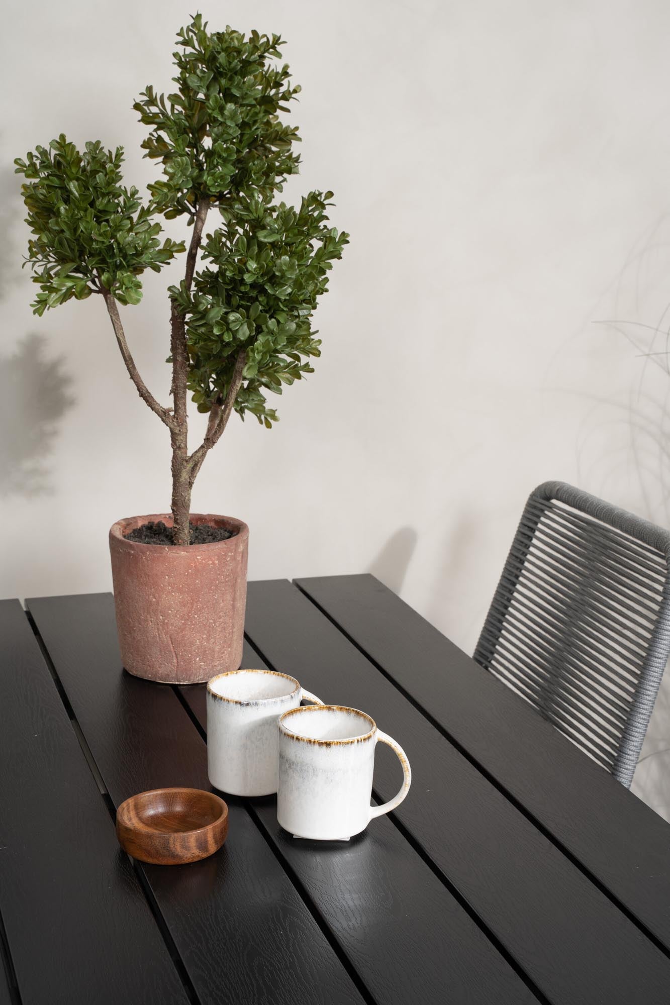 Elegantes Denver Outdoor-Tischset mit Lindos Stühlen für 4 Personen. Ideal für gesellige Abende im Freien und stilvolle Gartengestaltung.