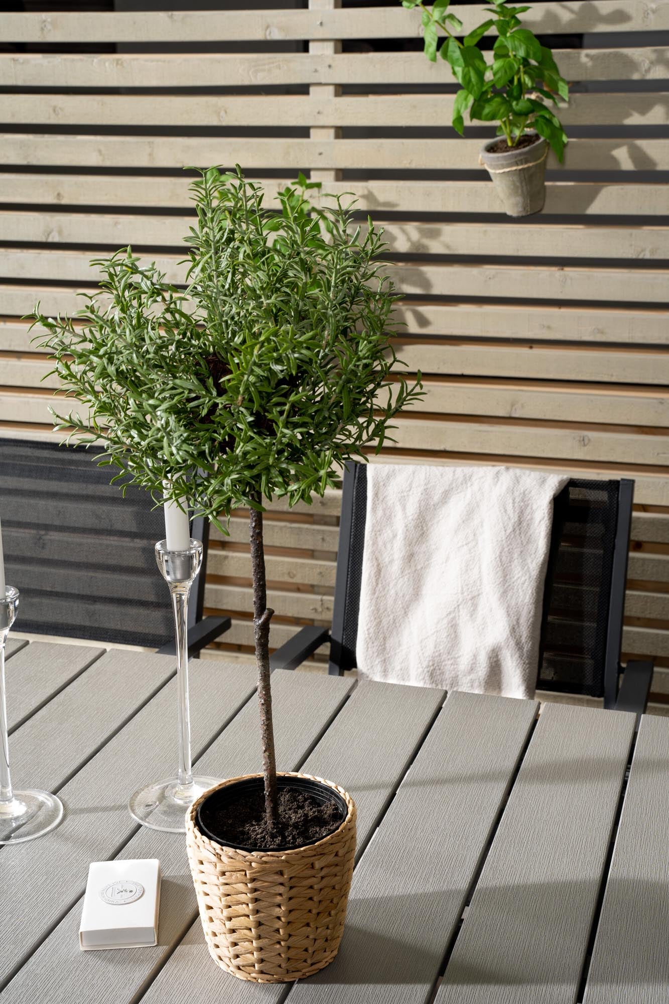 Venture Home: Flexibles Outdoor-Set für gesellige Gartenabende.