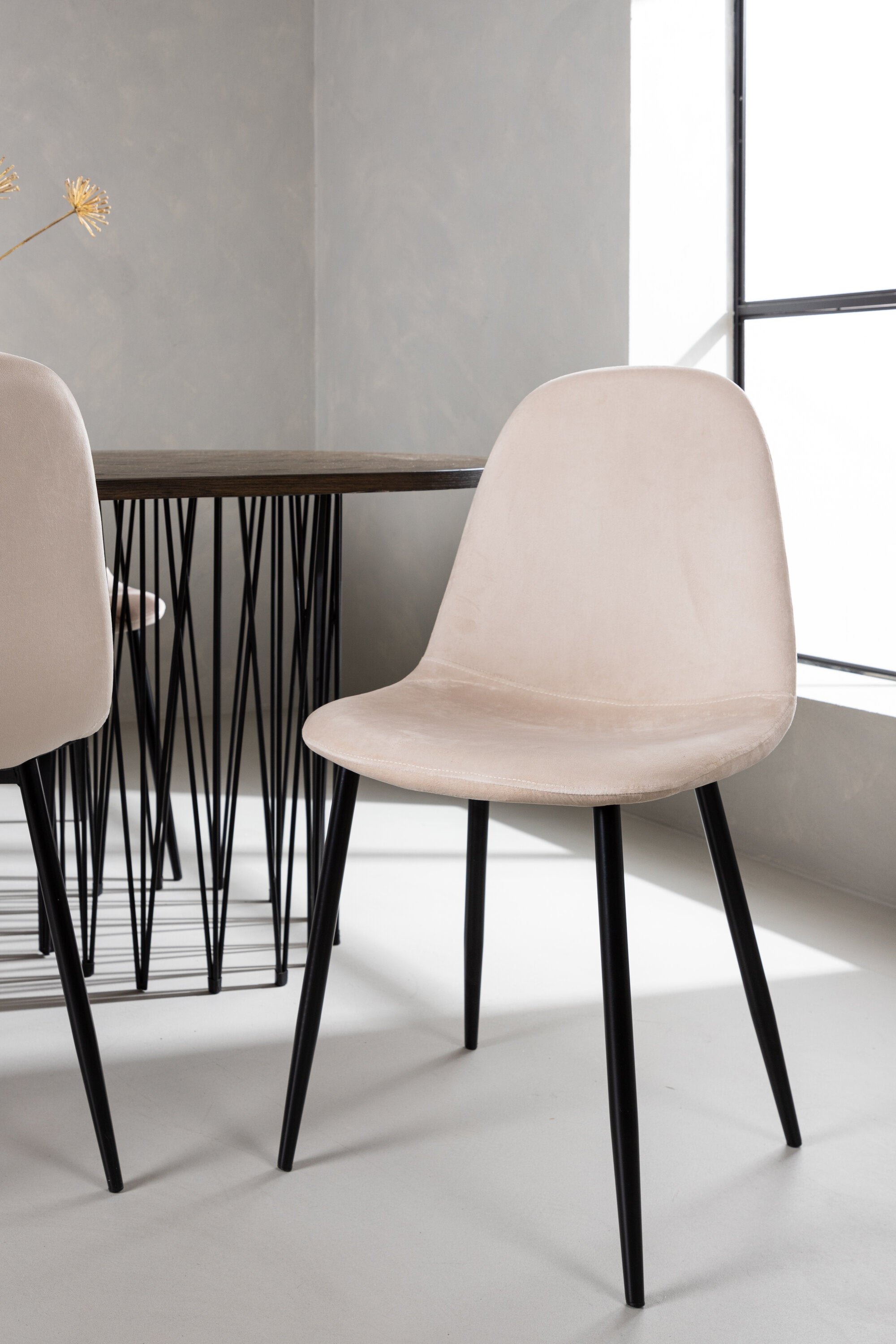 Stone Esszimmerset + Polar 220cm/6St. in Beige, Schwarz präsentiert im Onlineshop von KAQTU Design AG. Esszimmerset ist von Venture Home