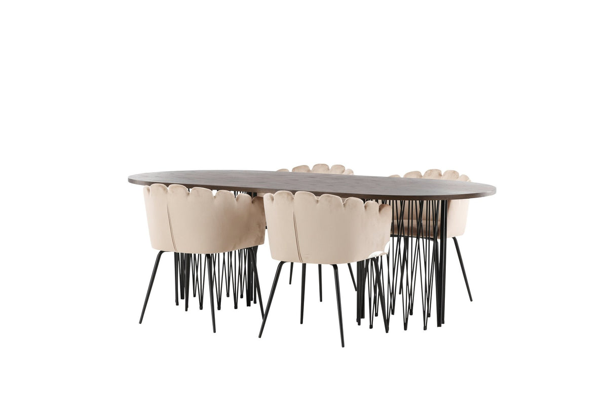 Ovaler Esstisch mit Tischplatte aus MDF mit Mocca-Furnier und schwarzem Metallgestell, umgeben von vier Limhamn-Stühlen mit beigem Samtbezug.
