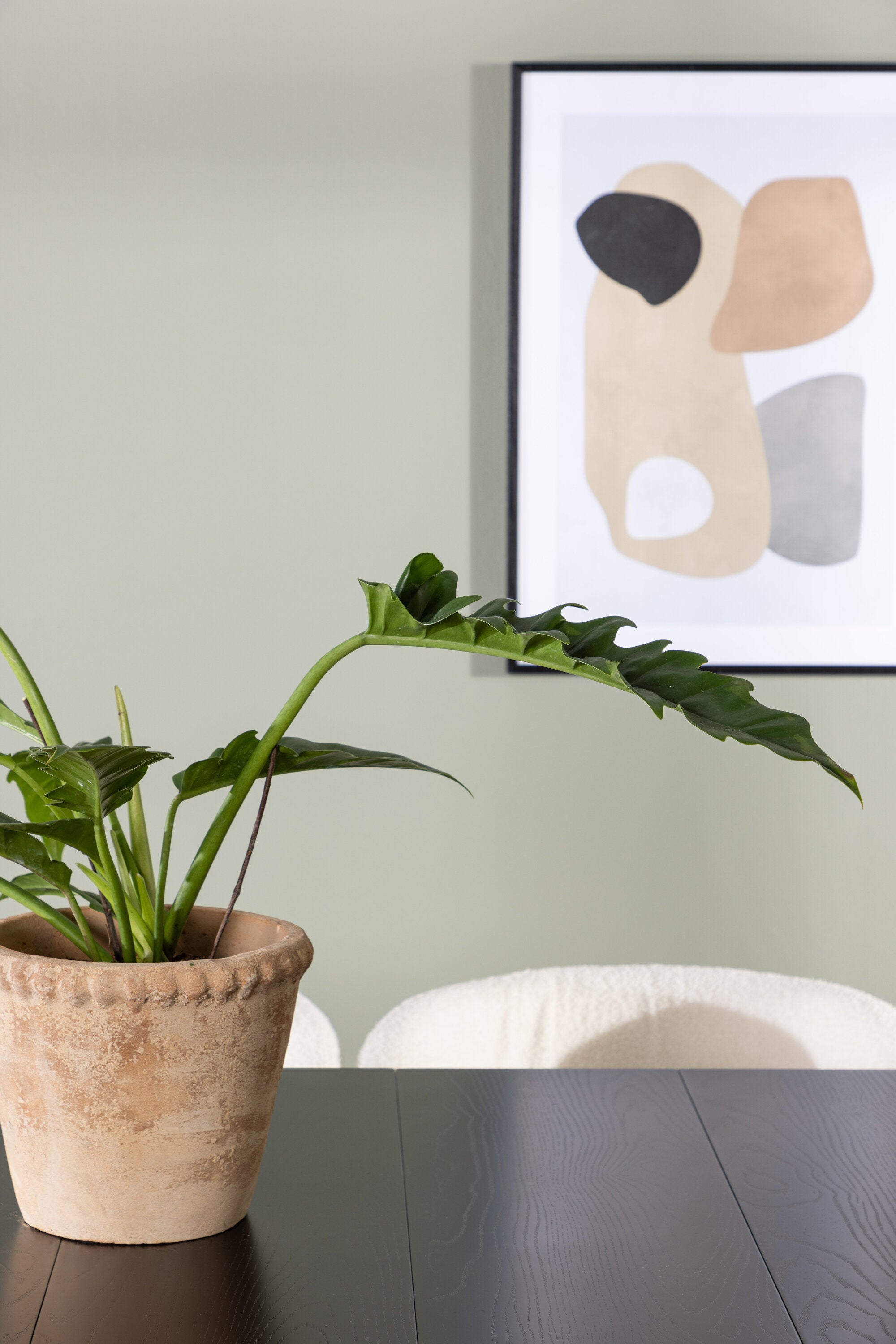 Astrid Esszimmerset + Edina 200cm/6St. in Schwarz-Weiss präsentiert im Onlineshop von KAQTU Design AG. Esszimmerset ist von Venture Home