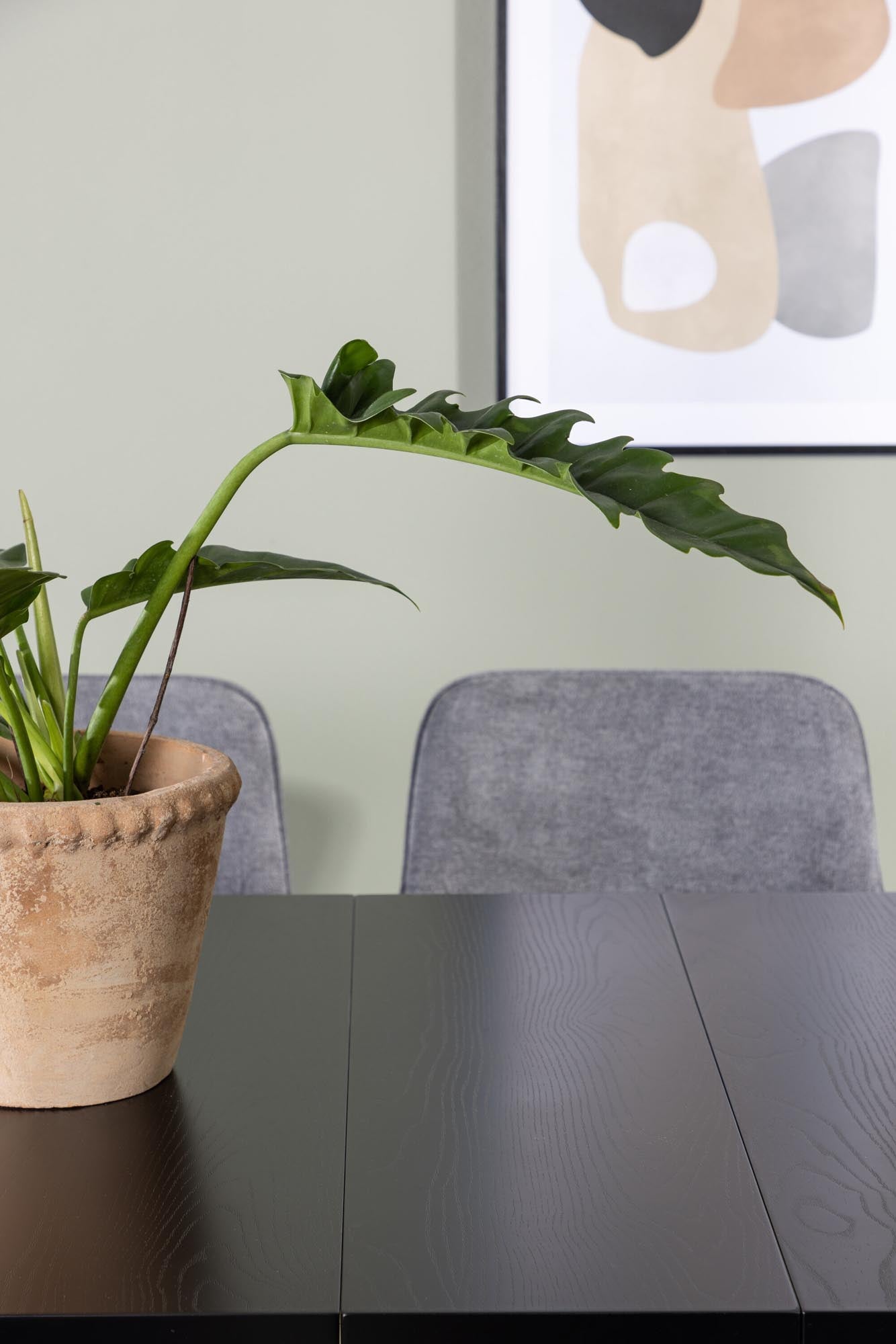 Elegantes Esszimmerset Astrid mit 200cm Tisch und 6 Rosie-Stühlen. Ideal für stilvolle Dinner und gesellige Abende.