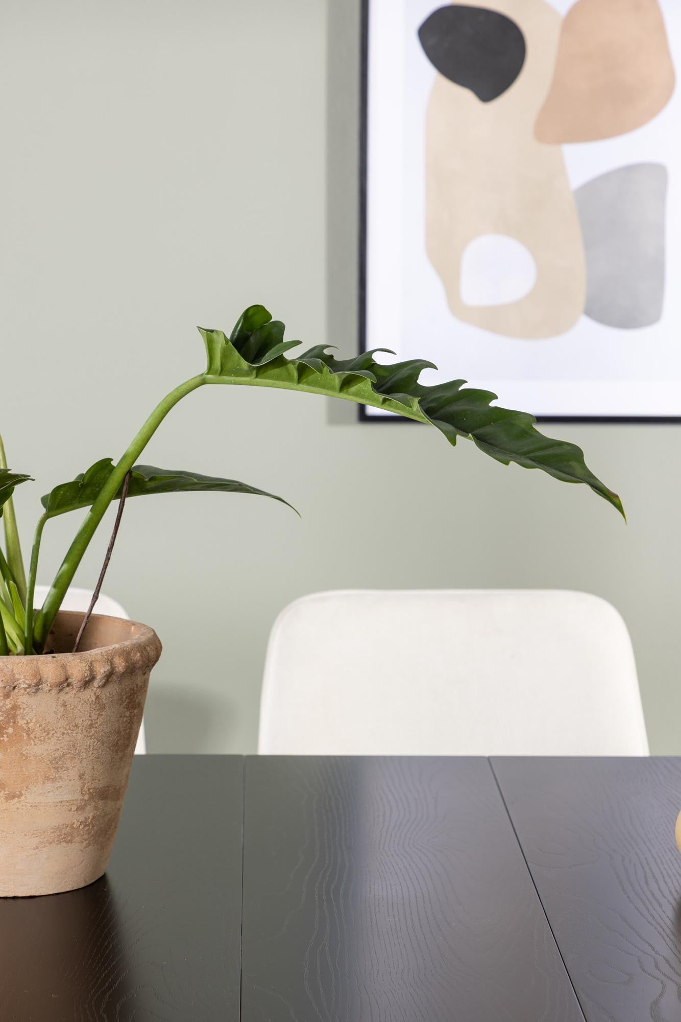 Elegantes Astrid Esszimmerset mit 6 Stühlen, 200cm, von Venture Home.