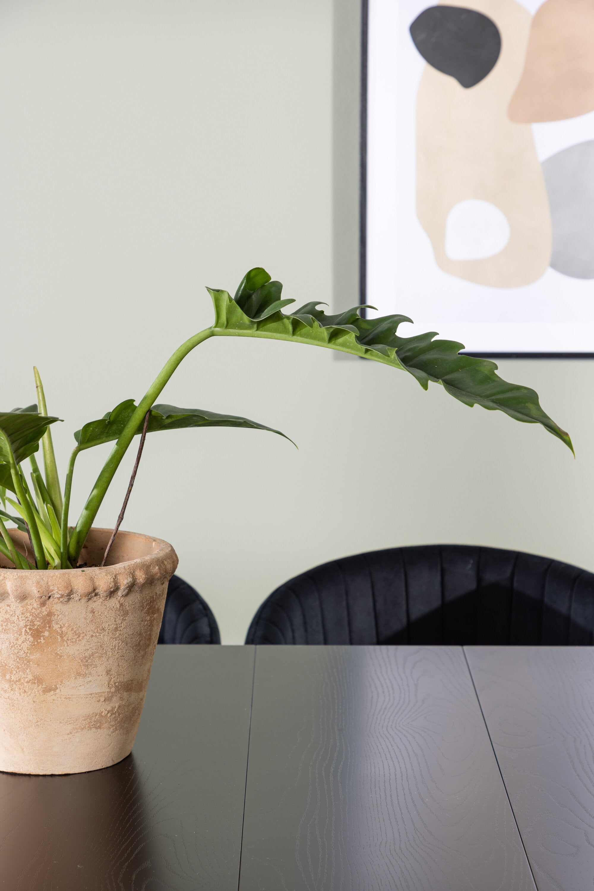 Astrid Esszimmerset + Selma 200cm/6St. in Schwarz präsentiert im Onlineshop von KAQTU Design AG. Esszimmerset ist von Venture Home