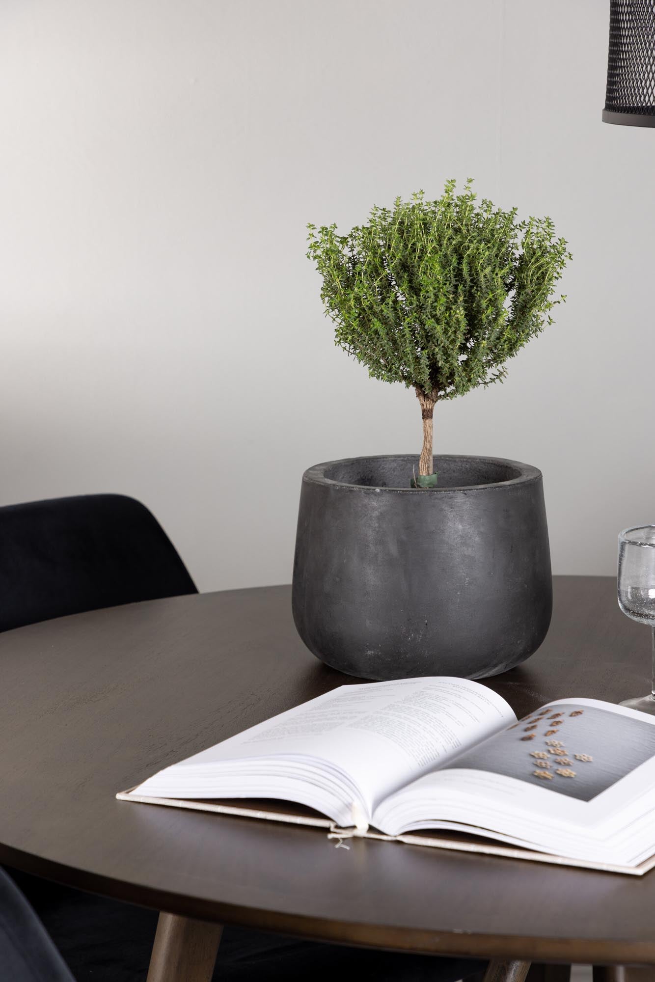 Modernes Kaseindon Esszimmerset: Stilvoller runder Tisch und komfortable Samtstühle für einladende Essbereiche.