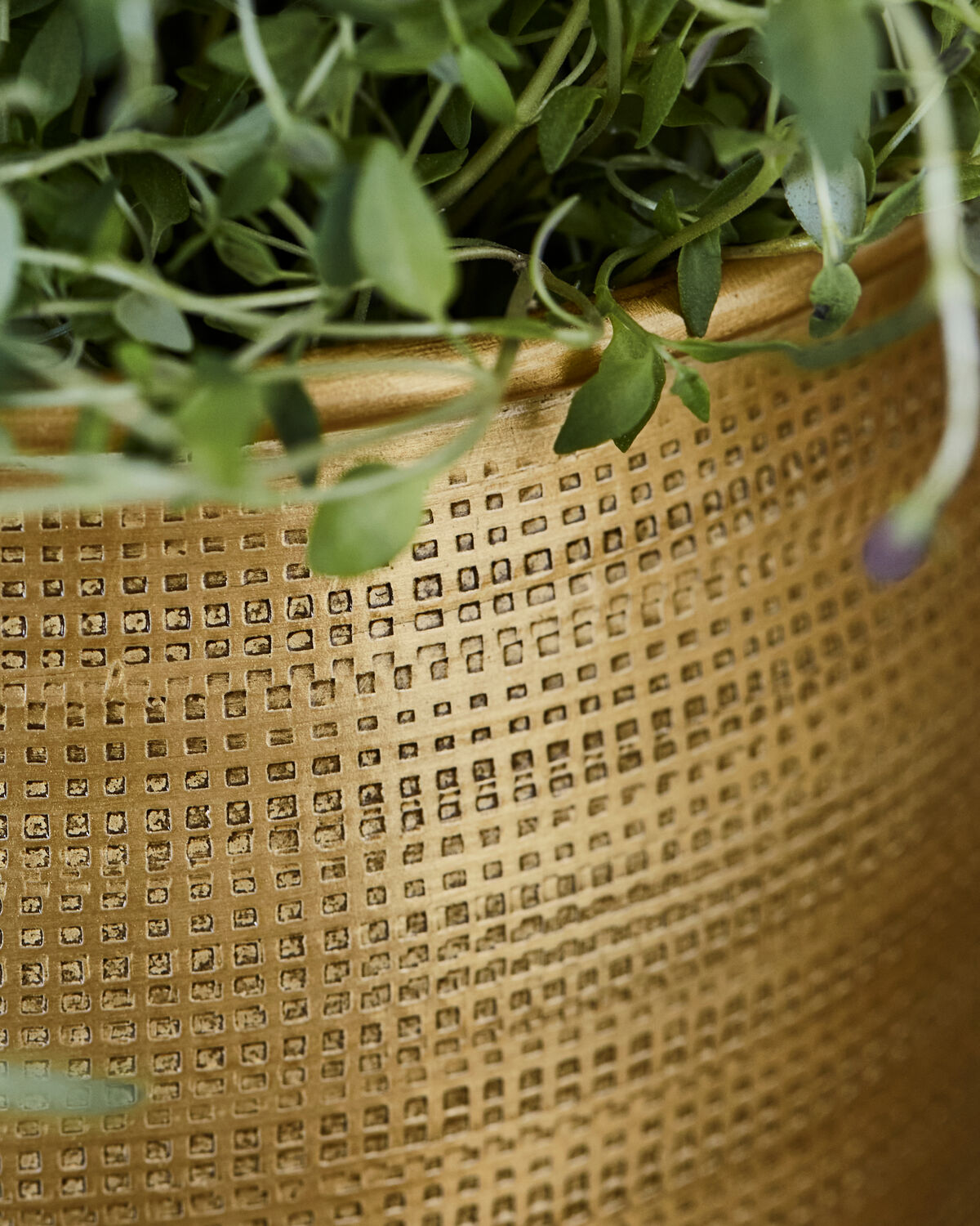 Blumentopf, HDSpot, Gold in Gold präsentiert im Onlineshop von KAQTU Design AG. Blumentopf ist von House Doctor
