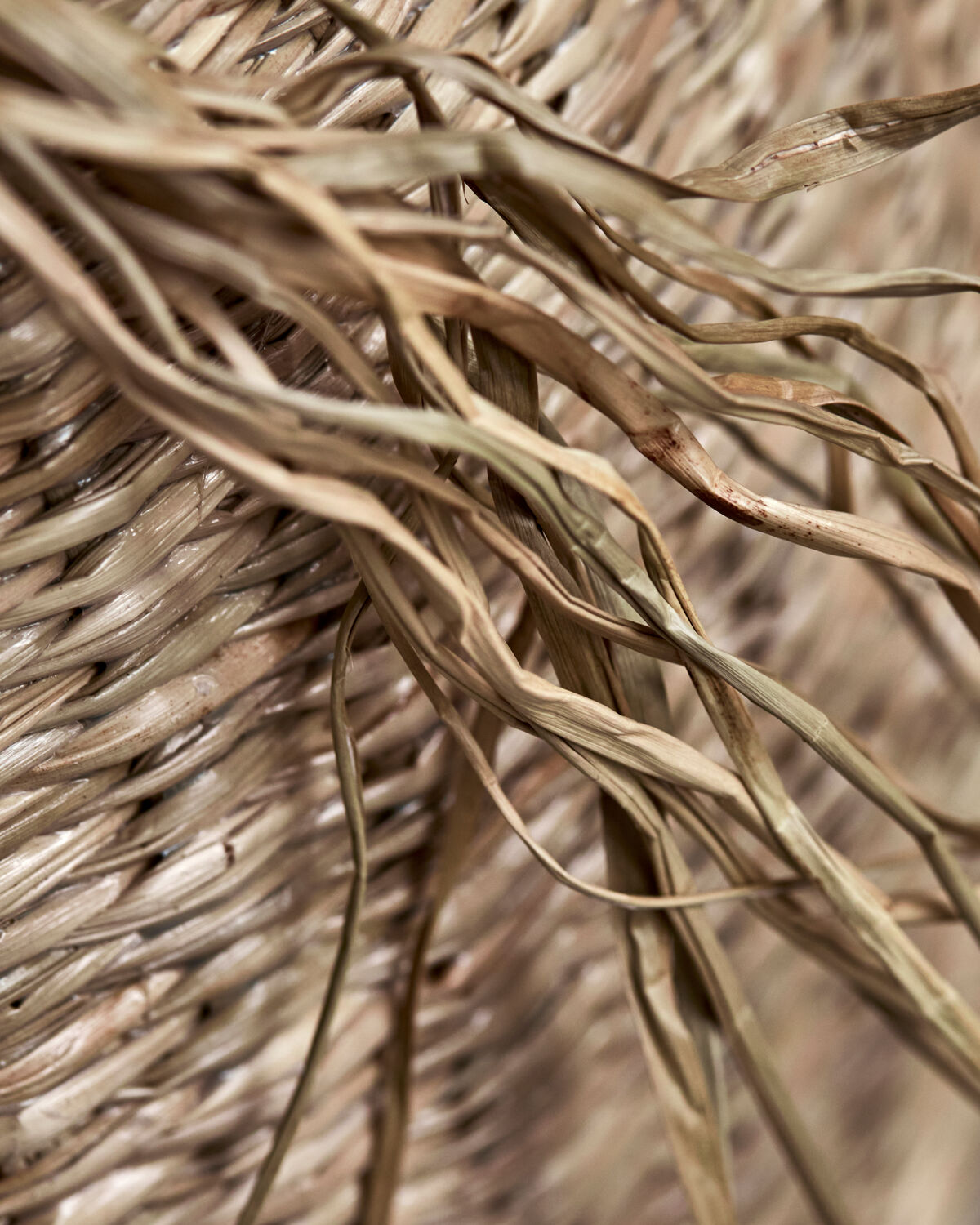 Aufbewahrungskorb, HDIsa, Natur in Natur präsentiert im Onlineshop von KAQTU Design AG. Aufbewahrungskorb ist von House Doctor