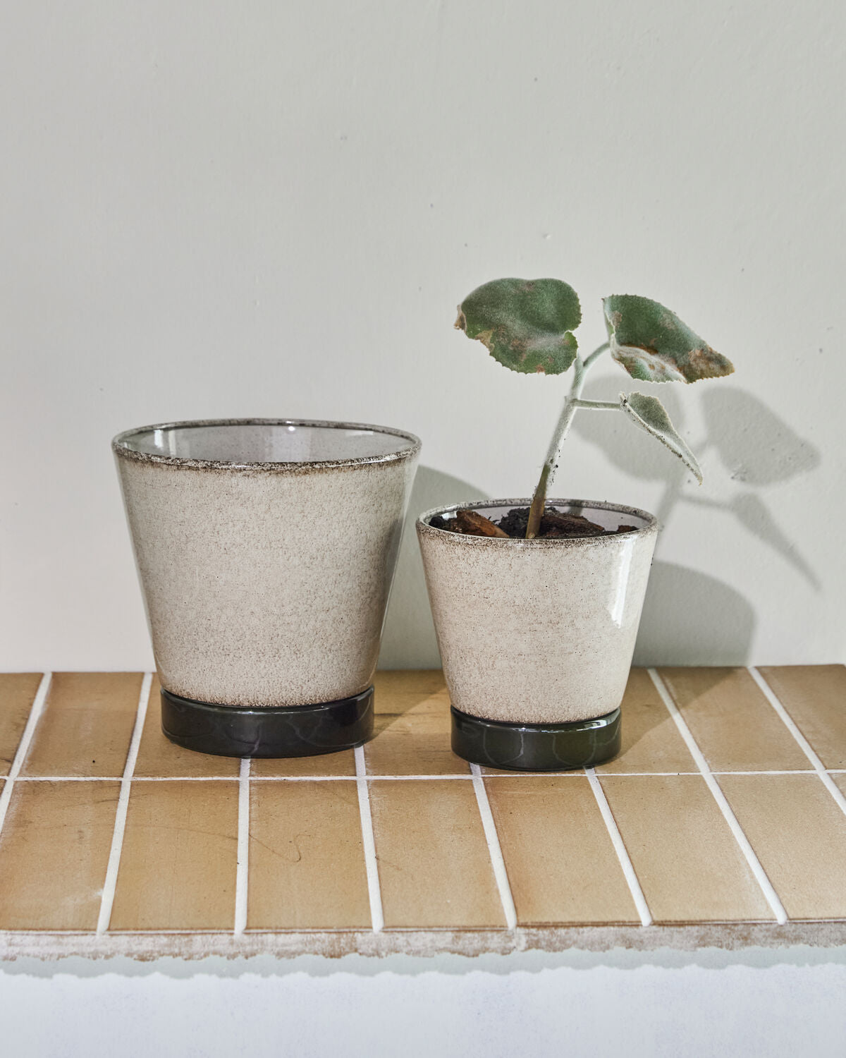 Eleganter Blumentopf HDLima in Beige und Grün, ideal für den Außenbereich. Perfekt für stilvolle Pflanzenarrangements.