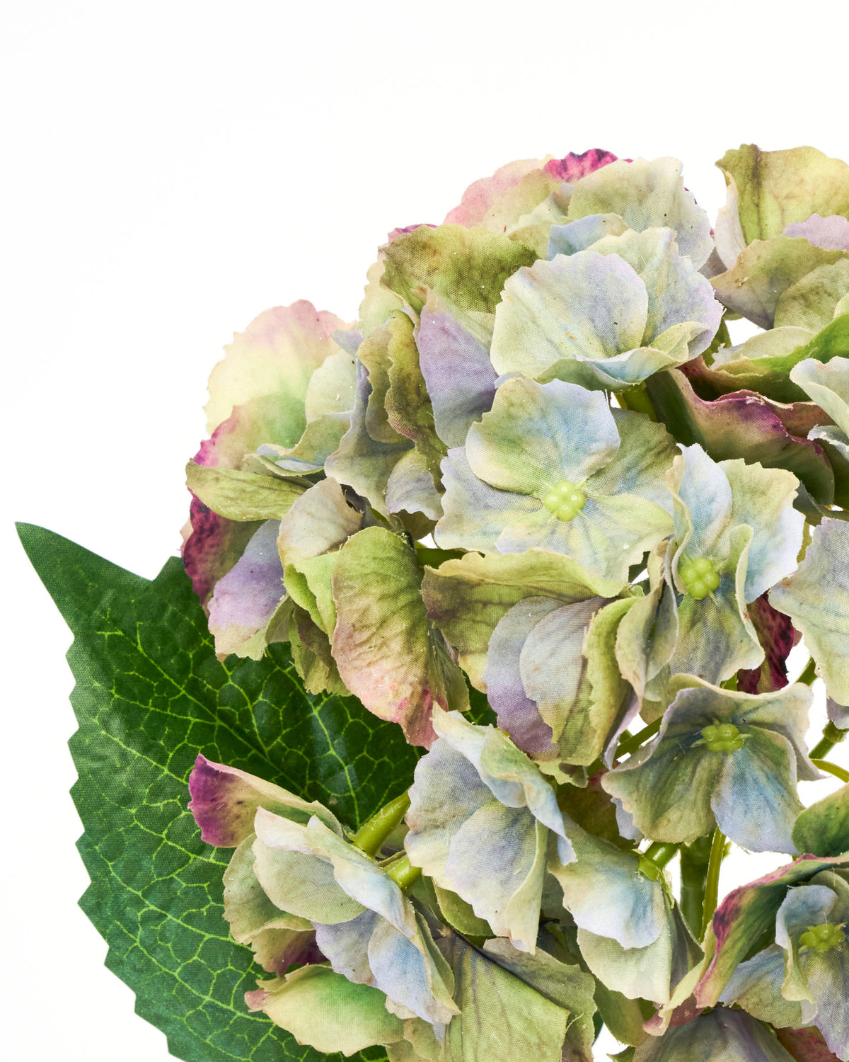 Artificial flower, HDHydrangea, Grün, Blau in Green präsentiert im Onlineshop von KAQTU Design AG. Kunstblume ist von House Doctor
