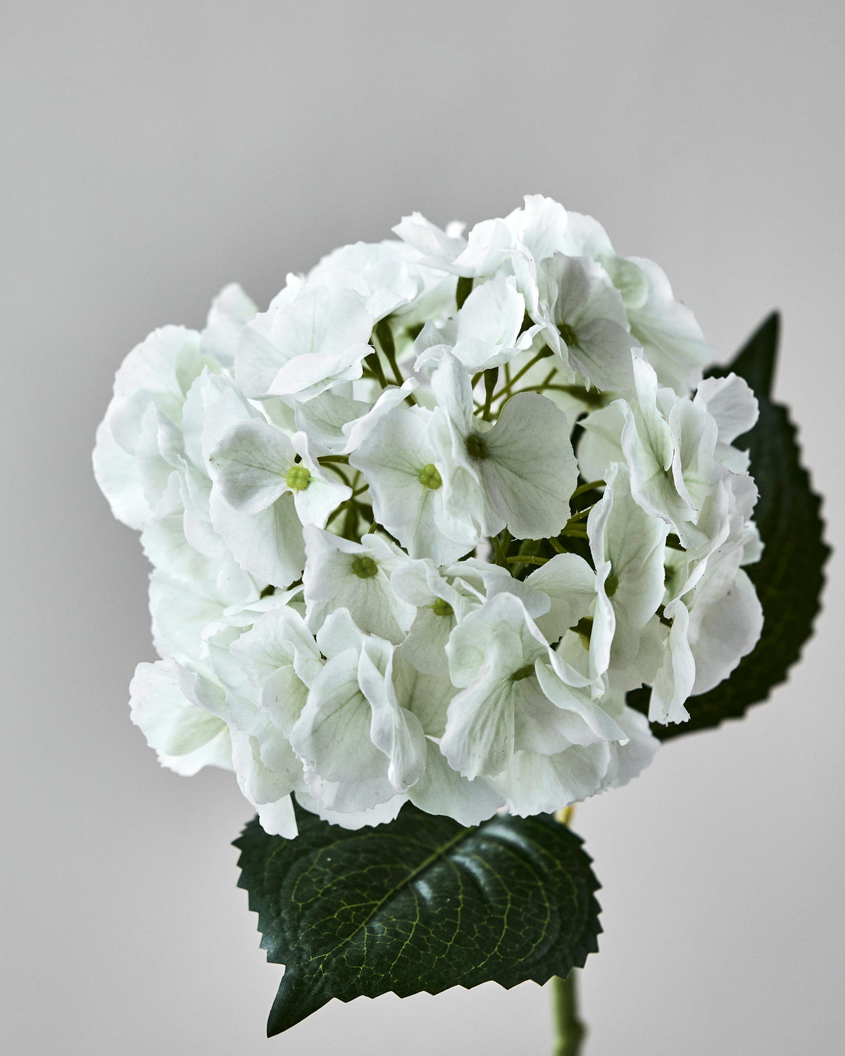 Artificial flower, HDHydrangea, Weiß in White präsentiert im Onlineshop von KAQTU Design AG. Kunstblume ist von House Doctor