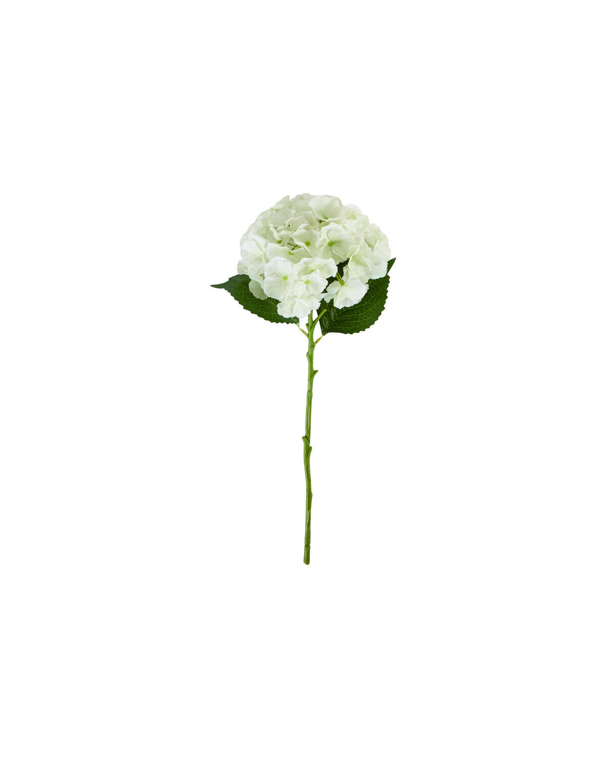Artificial flower, HDHydrangea, Weiß in White präsentiert im Onlineshop von KAQTU Design AG. Kunstpflanze ist von House Doctor