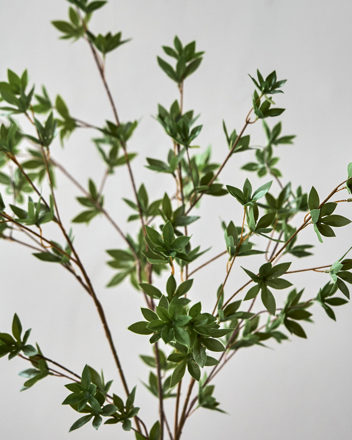 Artificial branch, HDJaponica, Grün in Green präsentiert im Onlineshop von KAQTU Design AG. Kunstblume ist von House Doctor