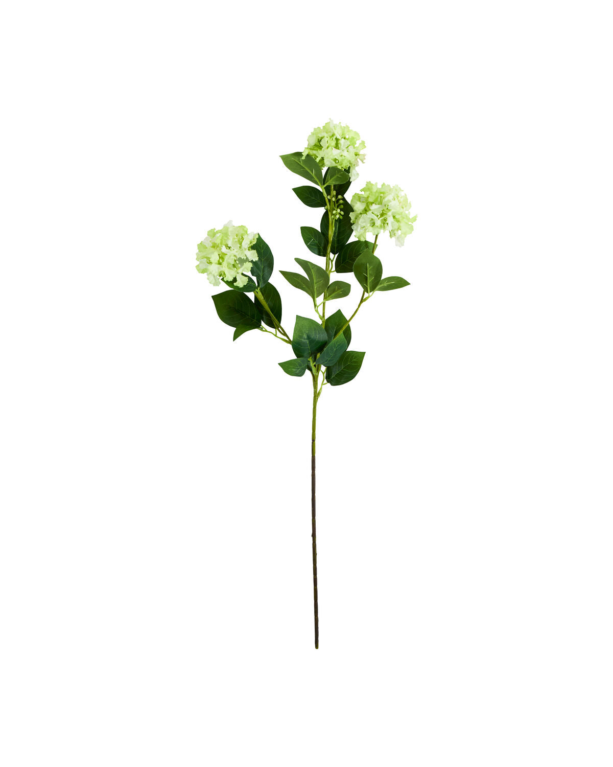 Artificial flower, HDViburnum, Grün in Green präsentiert im Onlineshop von KAQTU Design AG. Kunstpflanze ist von House Doctor