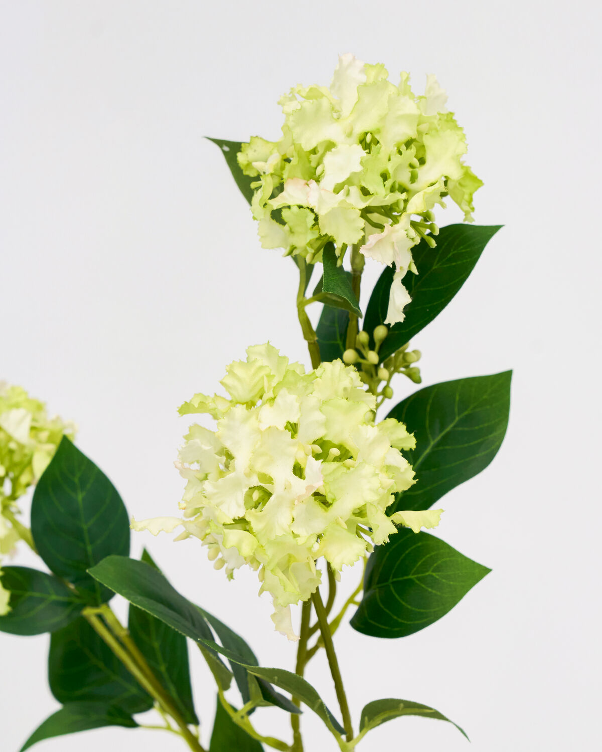 Kunstblume HD Viburnum in frischem Grün, perfekt für stilvolle Akzente in jedem Raum, erhältlich bei House Doctor.